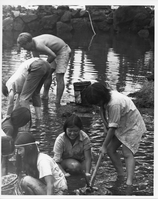 A black and white image of seven Youth Conservation Corps members cleaning up a royal fishpond. All seven members are located towards the bottom left side of the image. Their hands are underneath the water pulling things out of the bottom of the pond. There are buckets scattered around them to hold the debris they are collecting. Towards the right side of the image, one student in the group is standing holding a pickaxe logged into a chunk of thick mud. She appears to be in mid-motion attempting to drag the pickaxe towards her and out of the mud. In the background there is a rock wall bordering the pond.