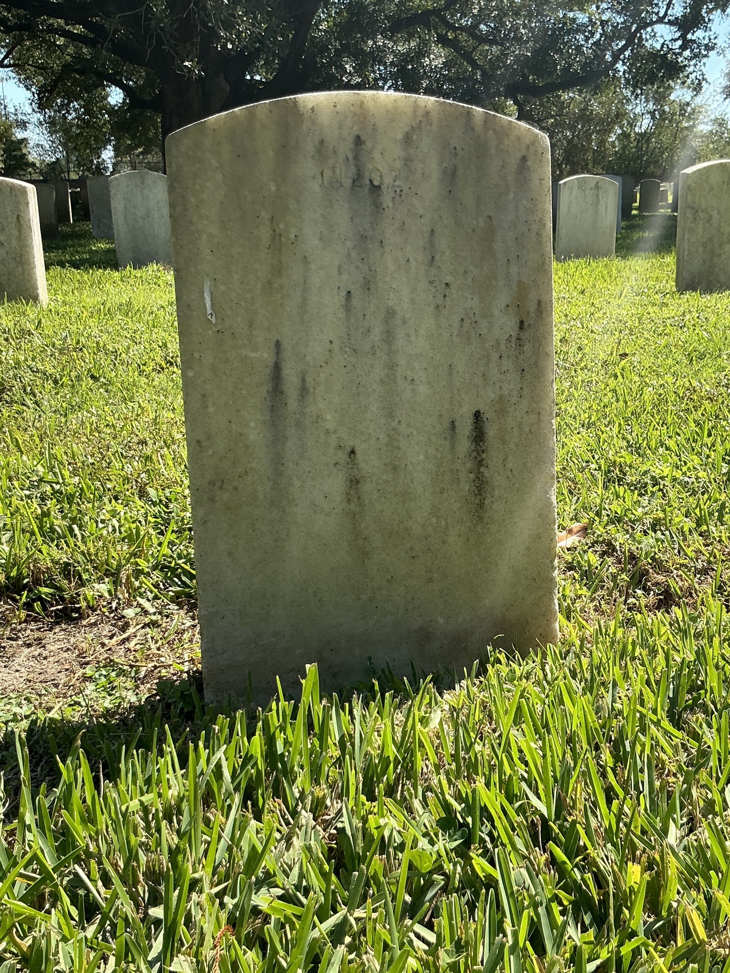 Back of upright marble headstone with incised shield face.