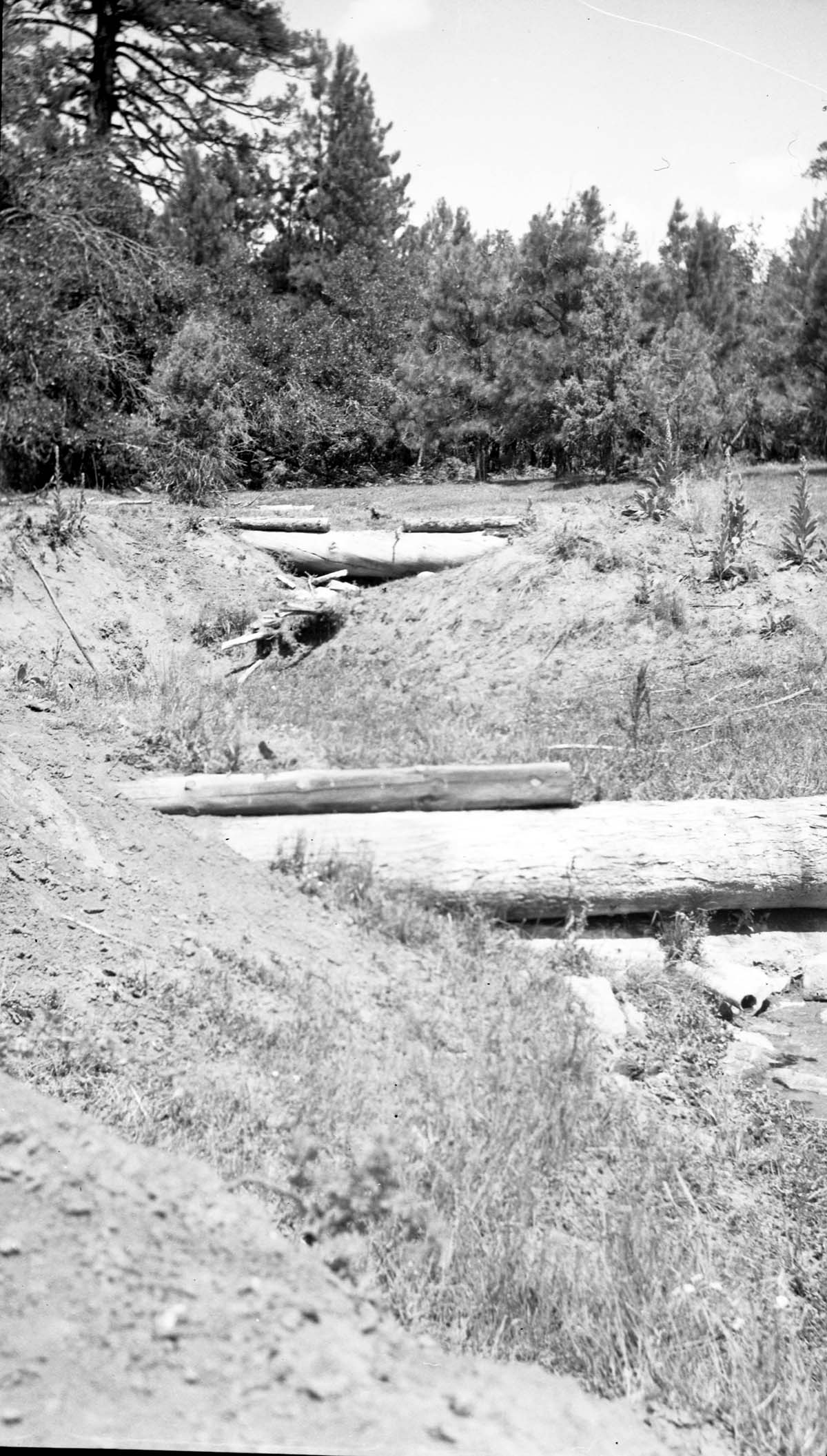 Detention dams, Potato Hollow, constructed 1950, have completely filled with sediment