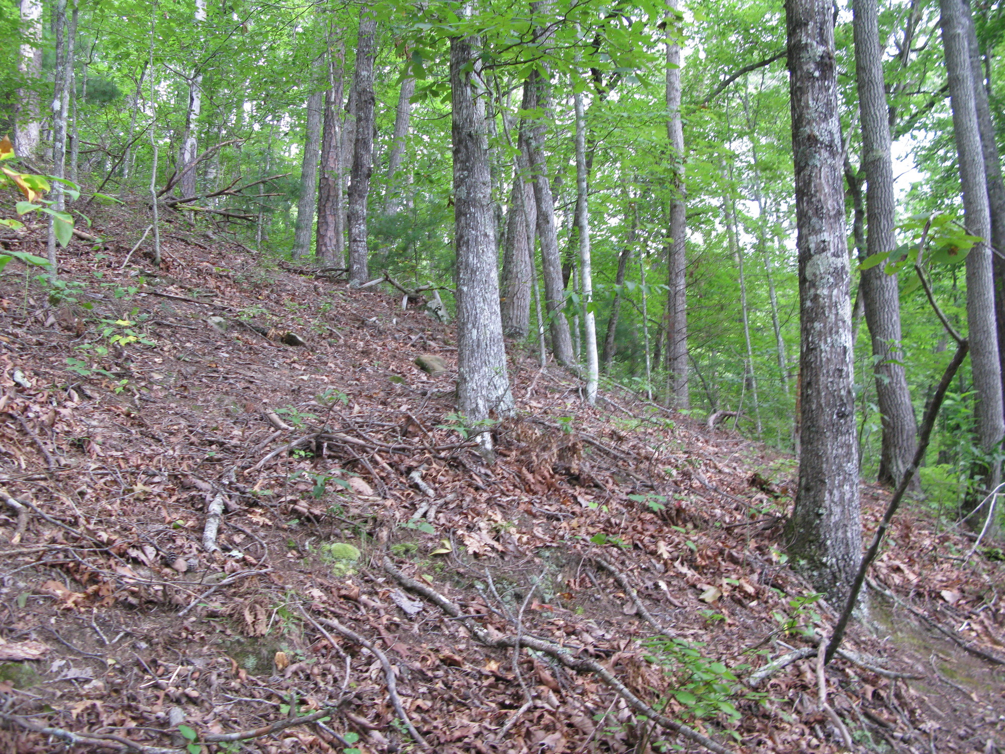 GRSM Accuracy Assessment. Plot Code: GRSM_AA_0328_2