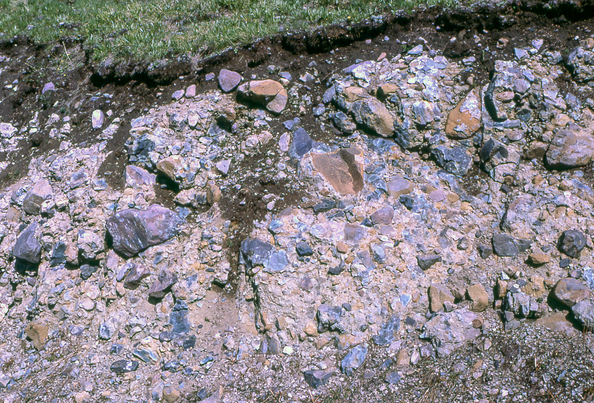 Exposed side hill with many small rocks in dirt