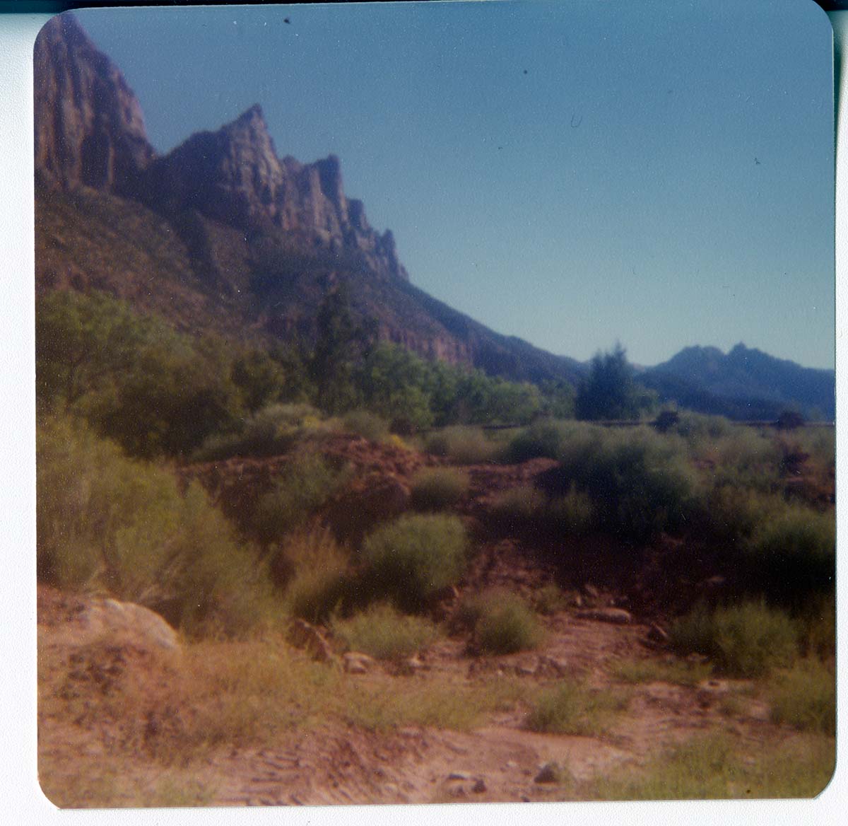 The Springdale water pipeline during construction.