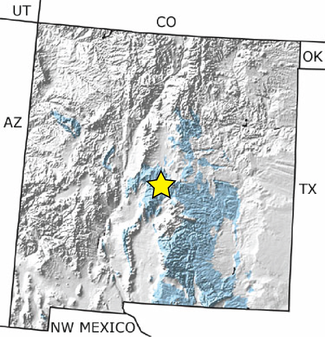 Map of Permian rocks in New Mexico. Permian rocks are primarily located in the southeastern portion of the state.