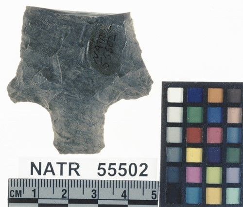 NATR   55502 -- Pickwick projectile point