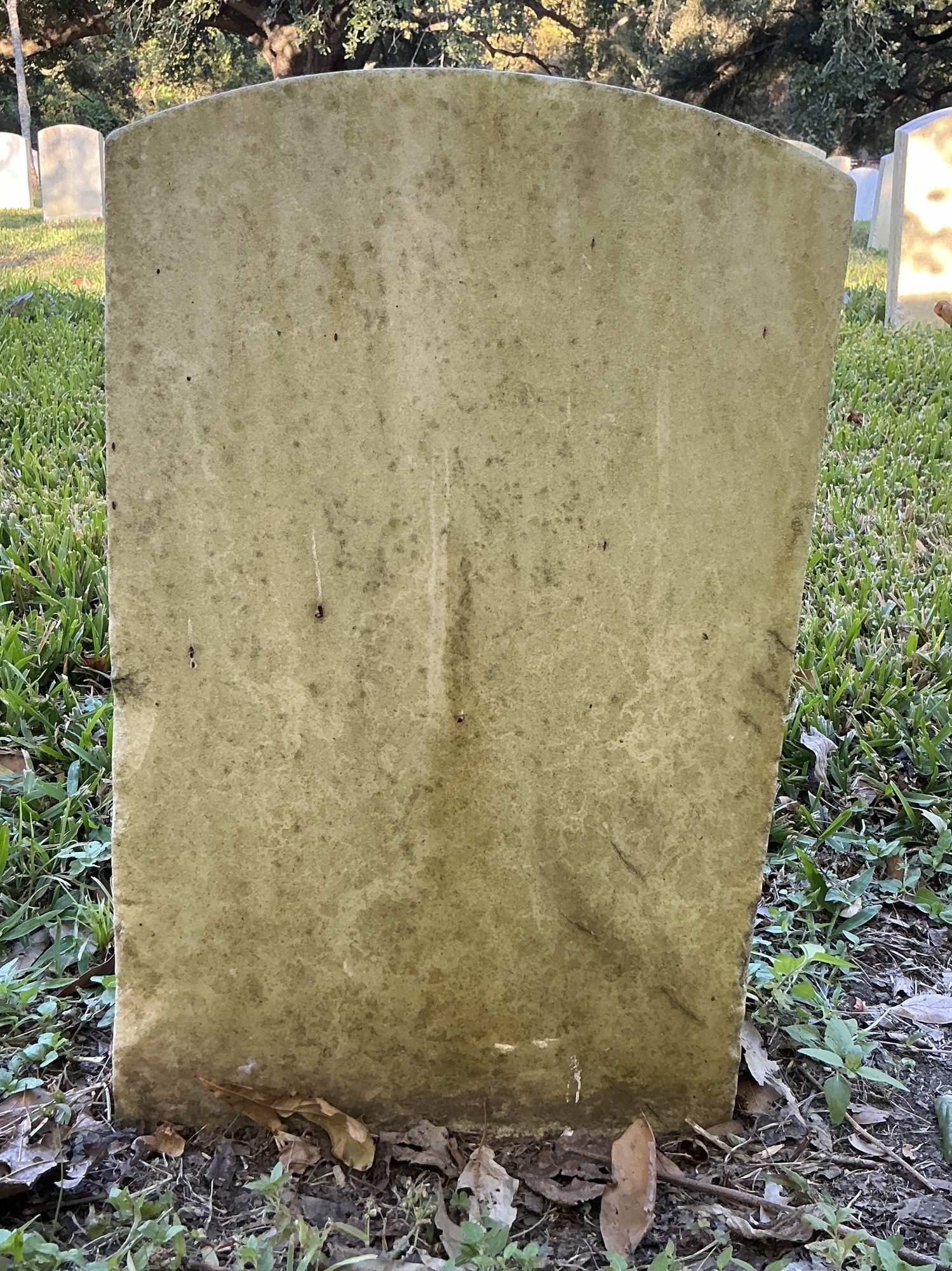 Back of historic upright marble headstone with recessed shield face.