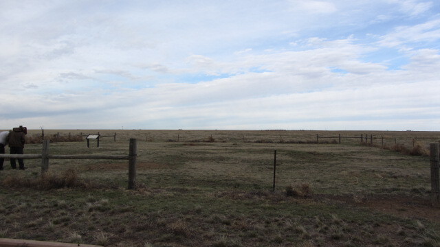 A wayside in a fenced in portion of the plains at Cimarron National Grassland