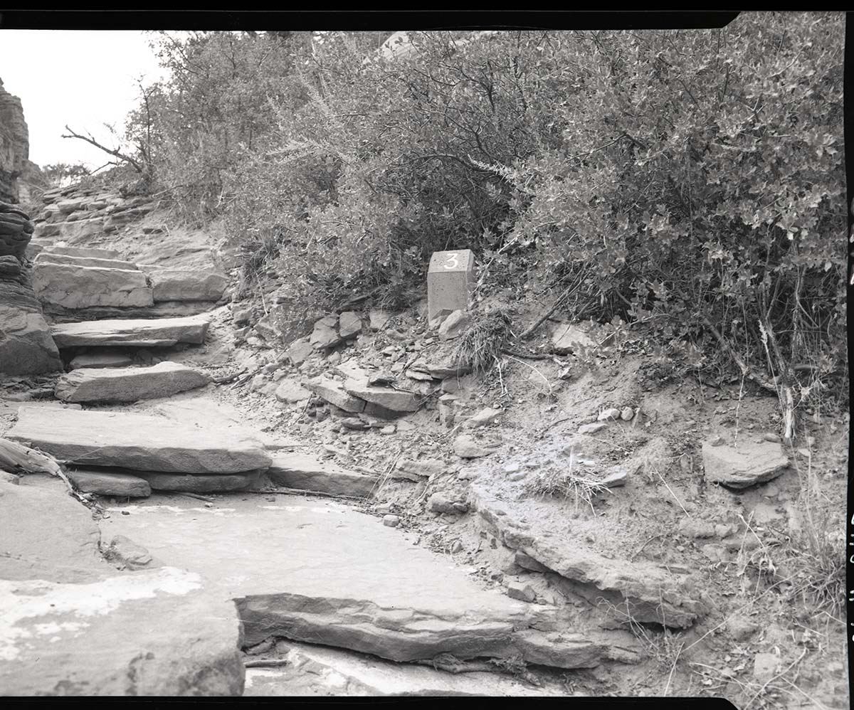 Nature trail marker on Canyon Overlook Trail, concrete post.