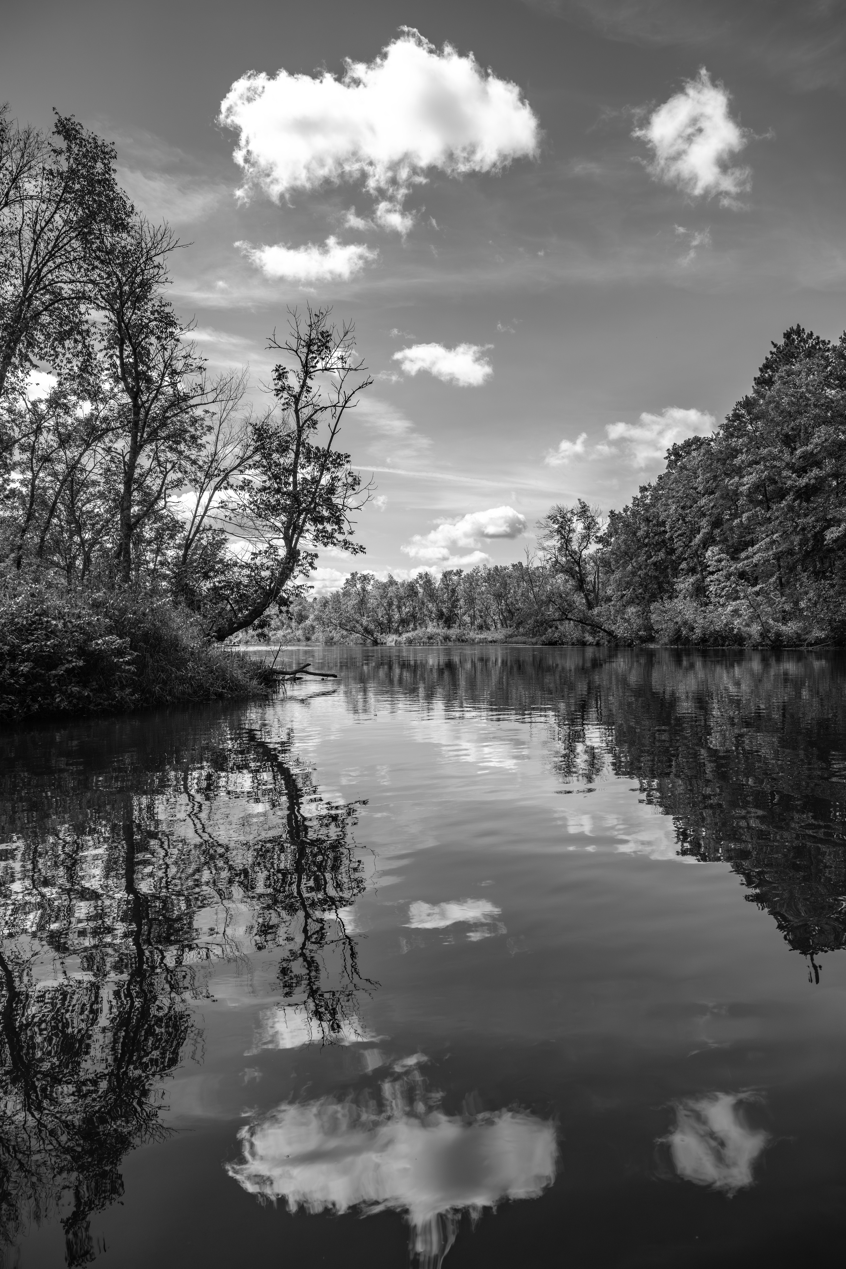 Trees on both sides of a river reach skyward towards bright puffy clouds on an idyllic day. A strong horizontal line divides the image at the center, over which the upper portion is reflected like mirror on calm water below.