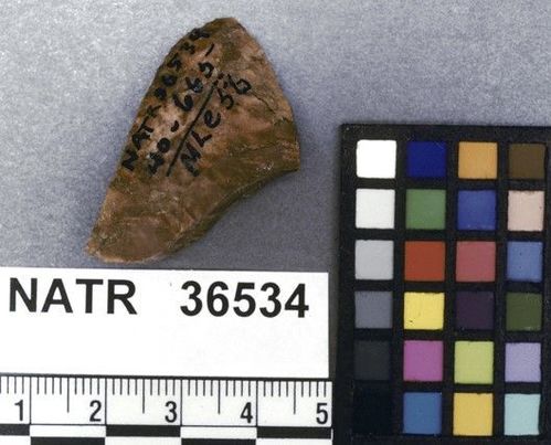 NATR   36534 -- Untyped projectile point