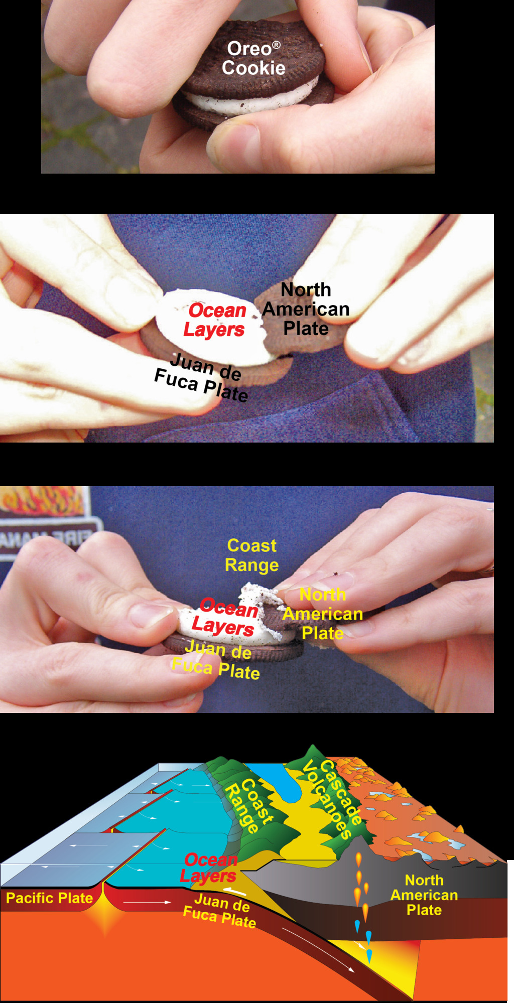 3 photos showing subduction using a sandwich cookie and a 3d diagram of the pacific northwest subduction zone