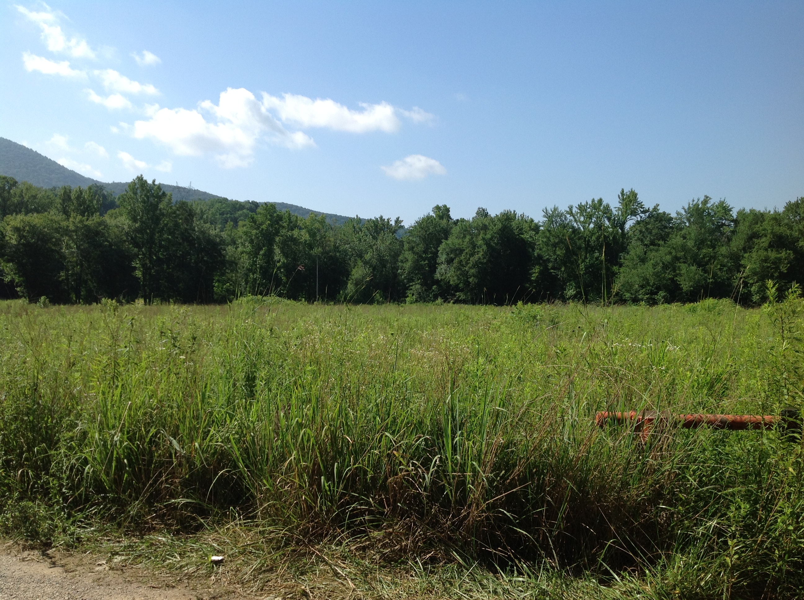 A field in front of mountains.