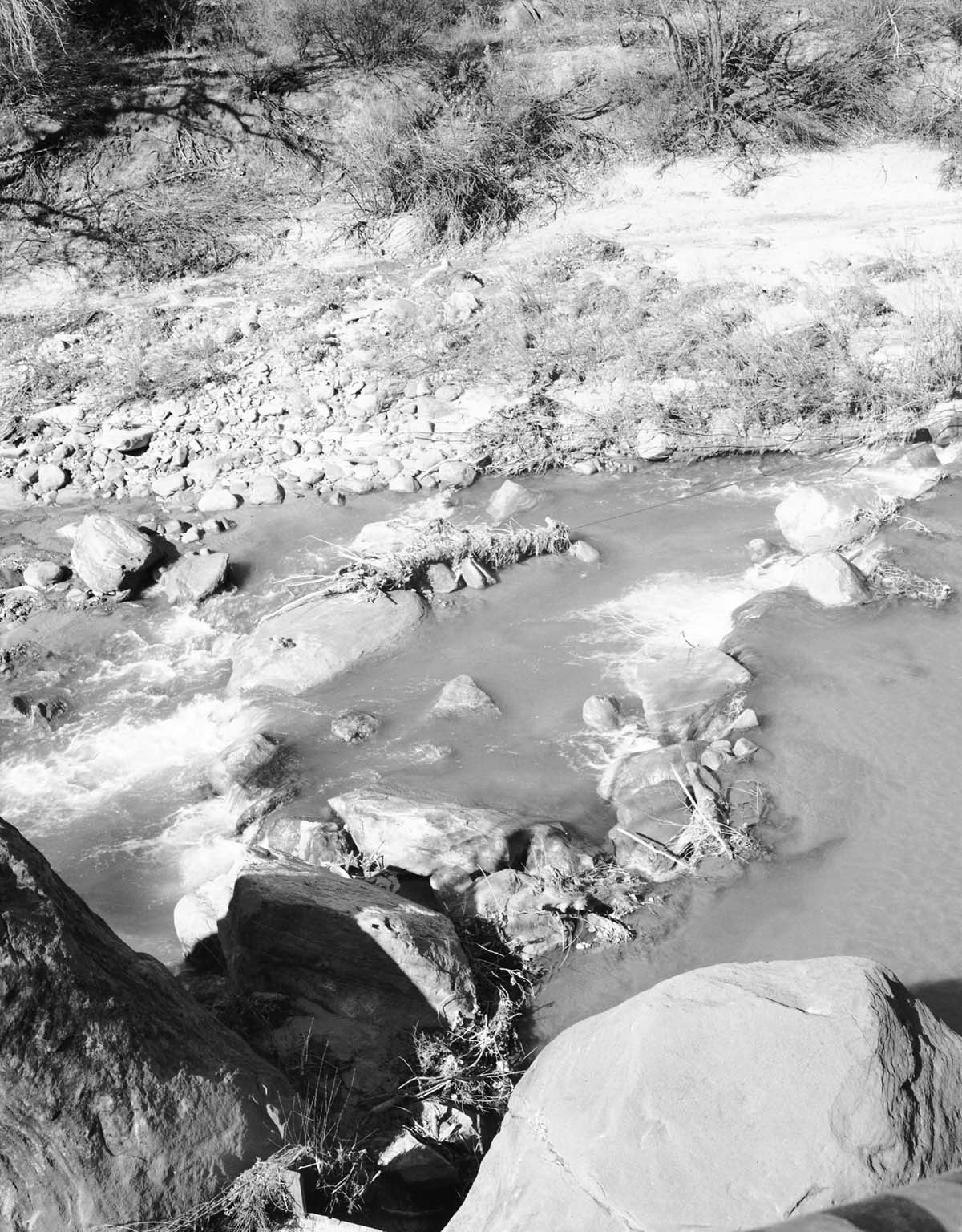 Area of proposed diversion dam on the east side, Virgin River.