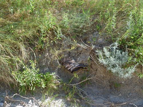 BADL-Conata-Road-Culverts-Drainage-Ditches