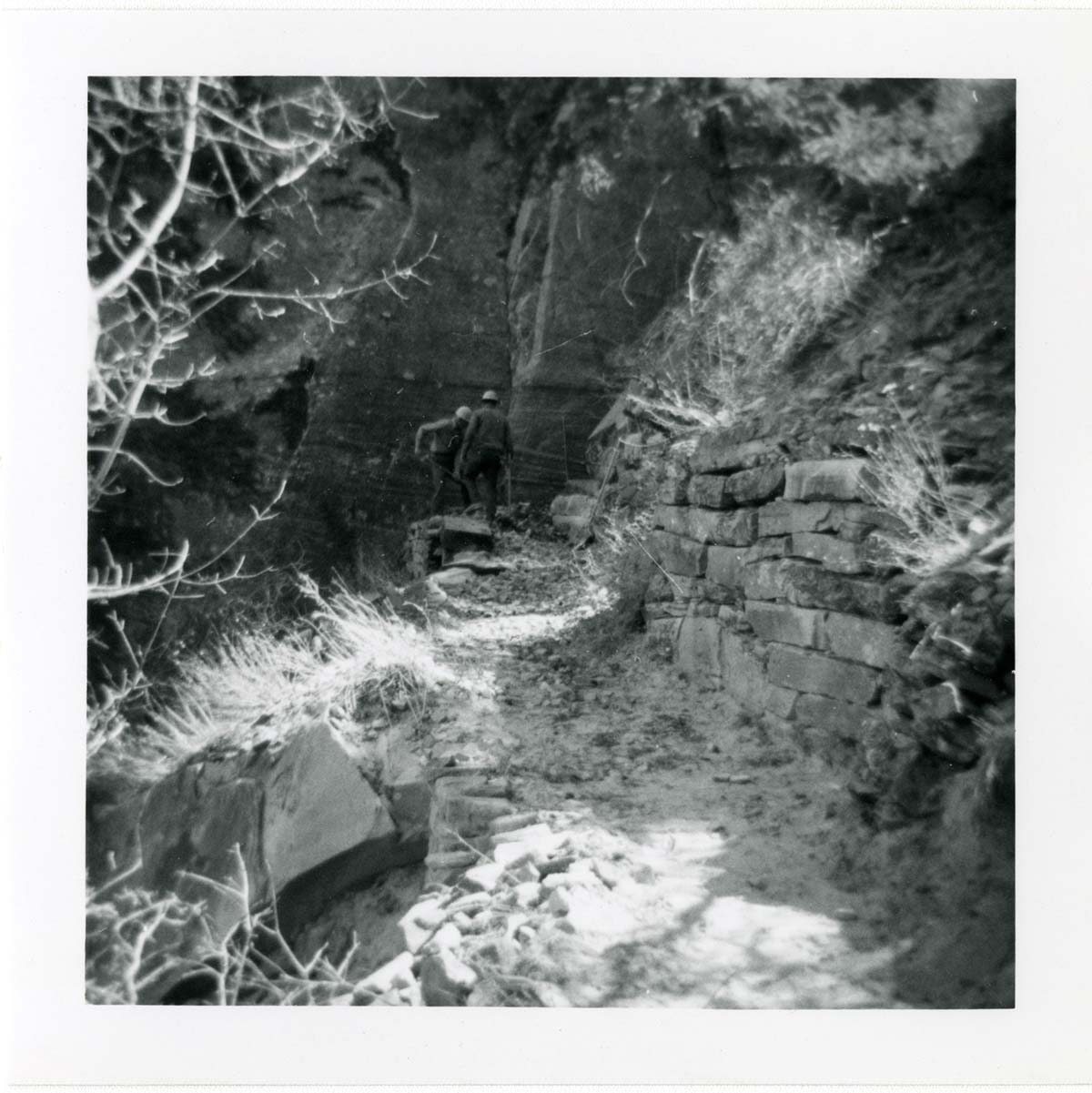 Hidden Canyon trail damage and repairs.