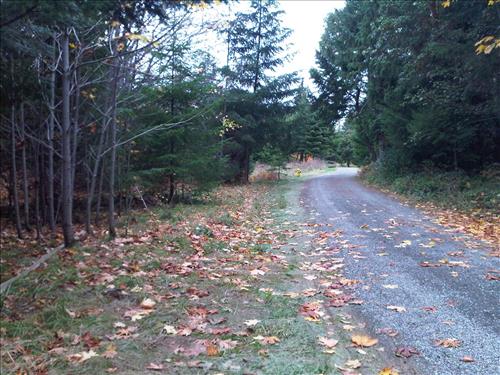 OLYM 005375 Elwha Heights Water Quality