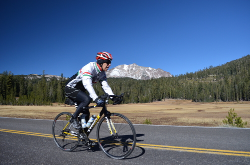 Visitors Biking on Park Highway