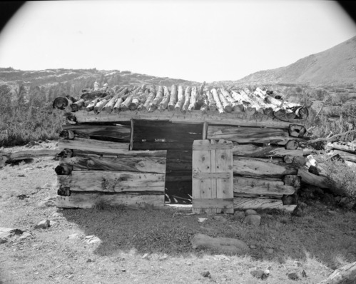 Golden Crown Cabin (several negs)