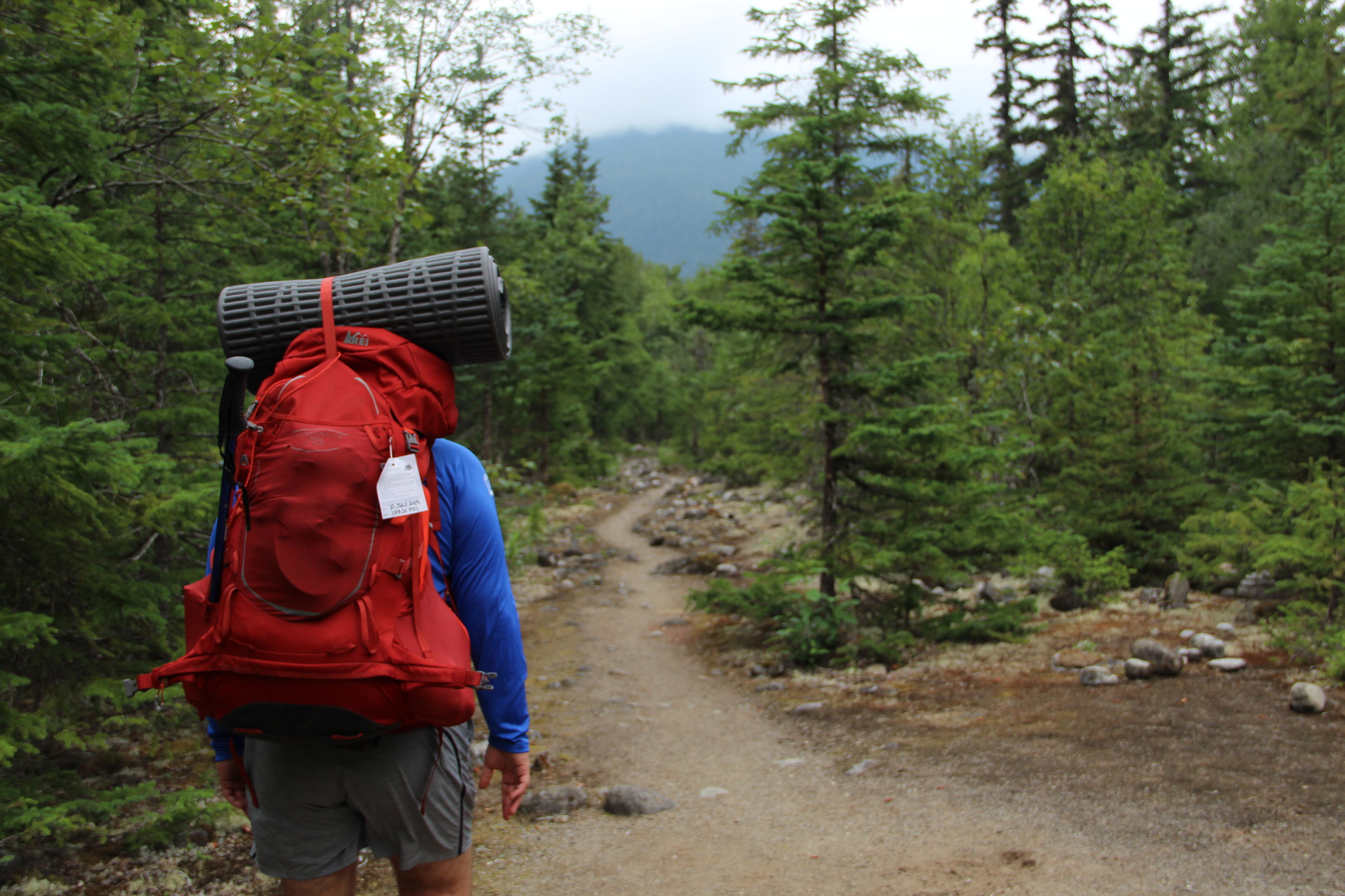 A backpacker on a sandy trail surrounded by green trees