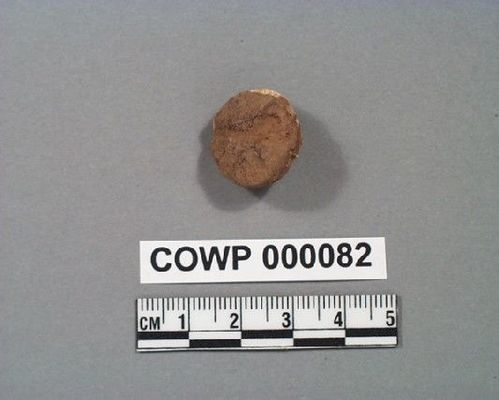 COWP      82 -- Bullet