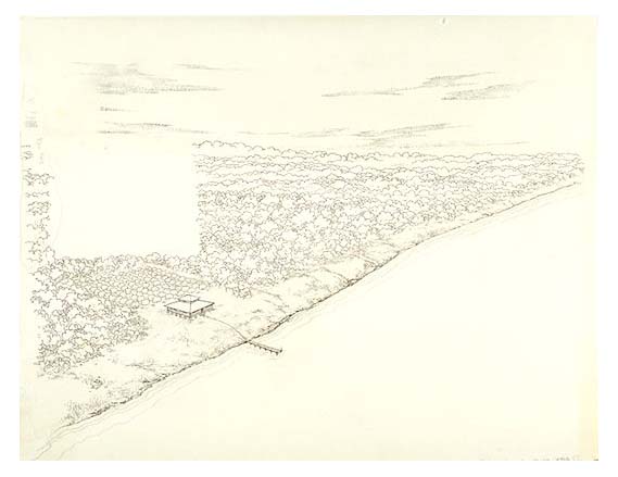 Aerial view of a pineapple or lime plantation home on a berm with a large cleared hammock area planted with orchards behind the berm.