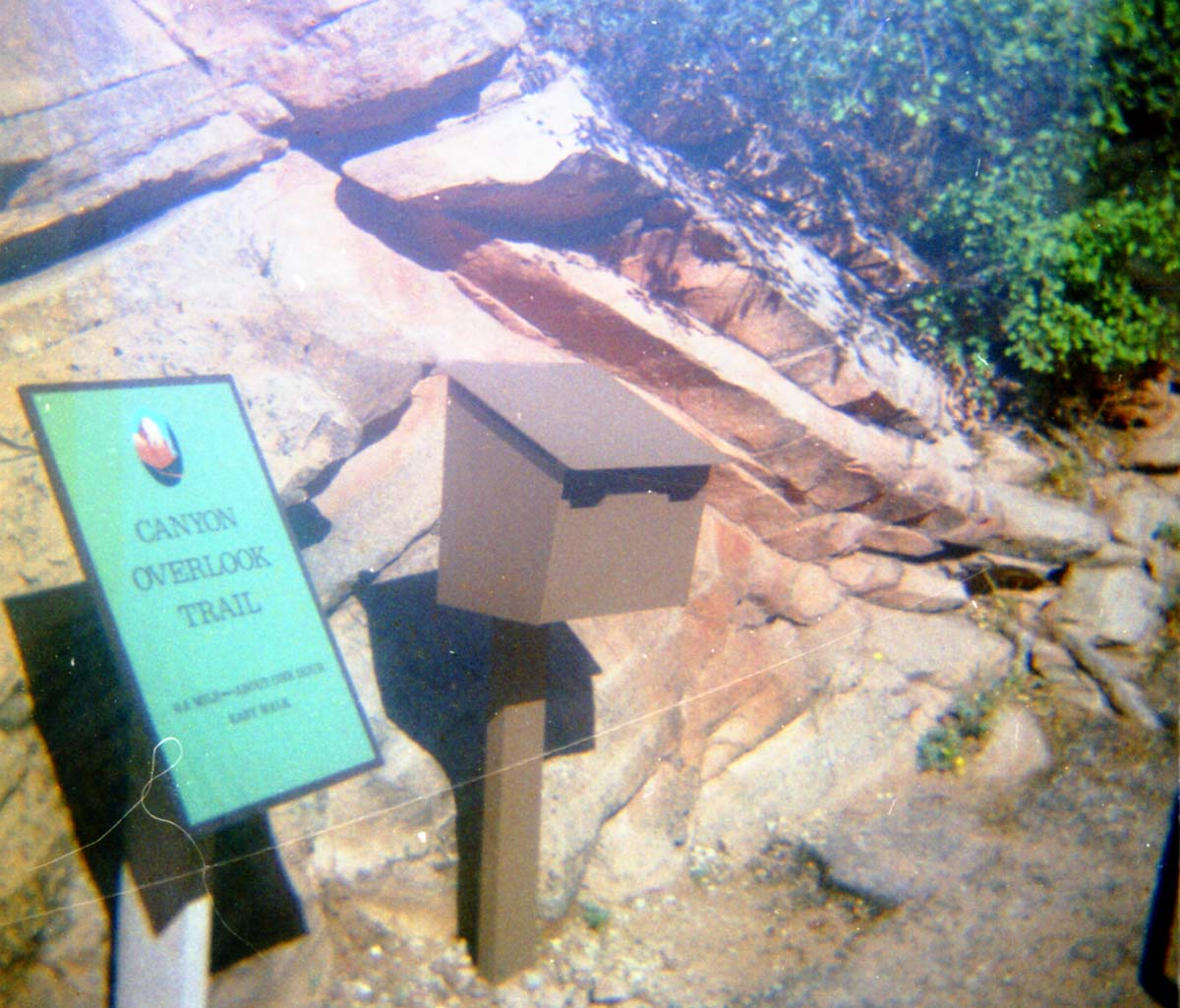 Color photos of trailside exhibits.