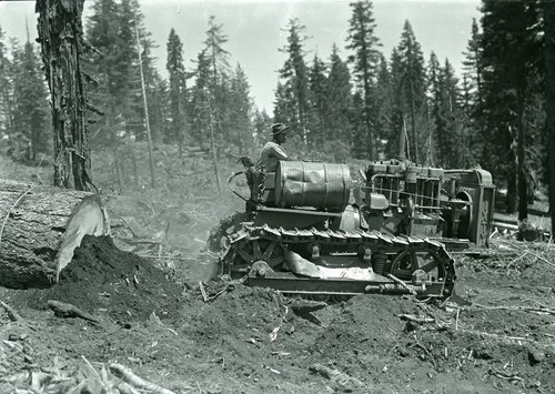 Yosemite Lumber Co. Best 60 cat dragging sugar pine loaf.