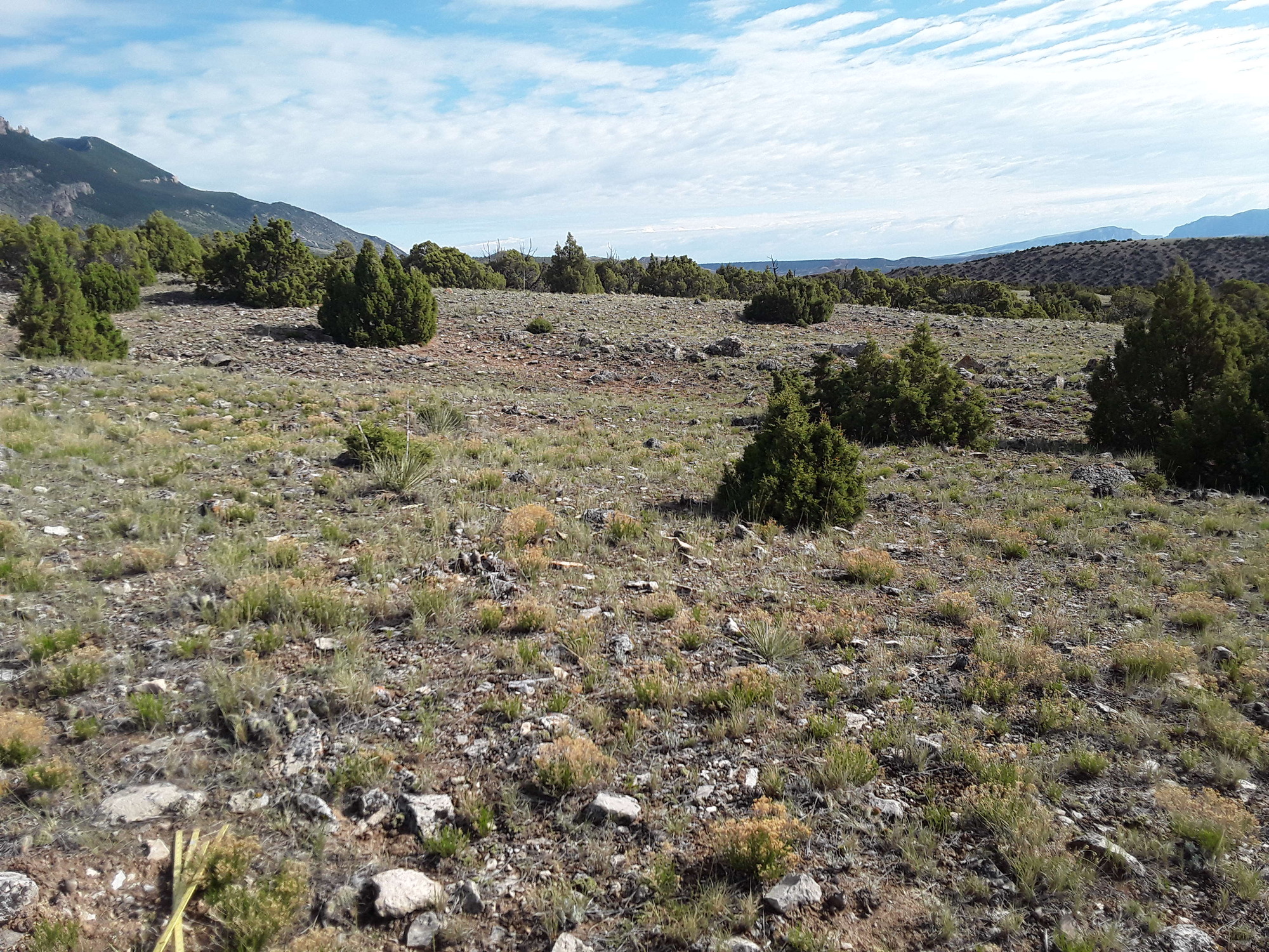Image of the vegetation and landscape at photo point in Bighorn Canyon NRA 