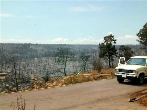 Forest burn areas depicted in surface photos in the aftermath of the Long Mesa Fire, Mesa Verde National Park, August 2002