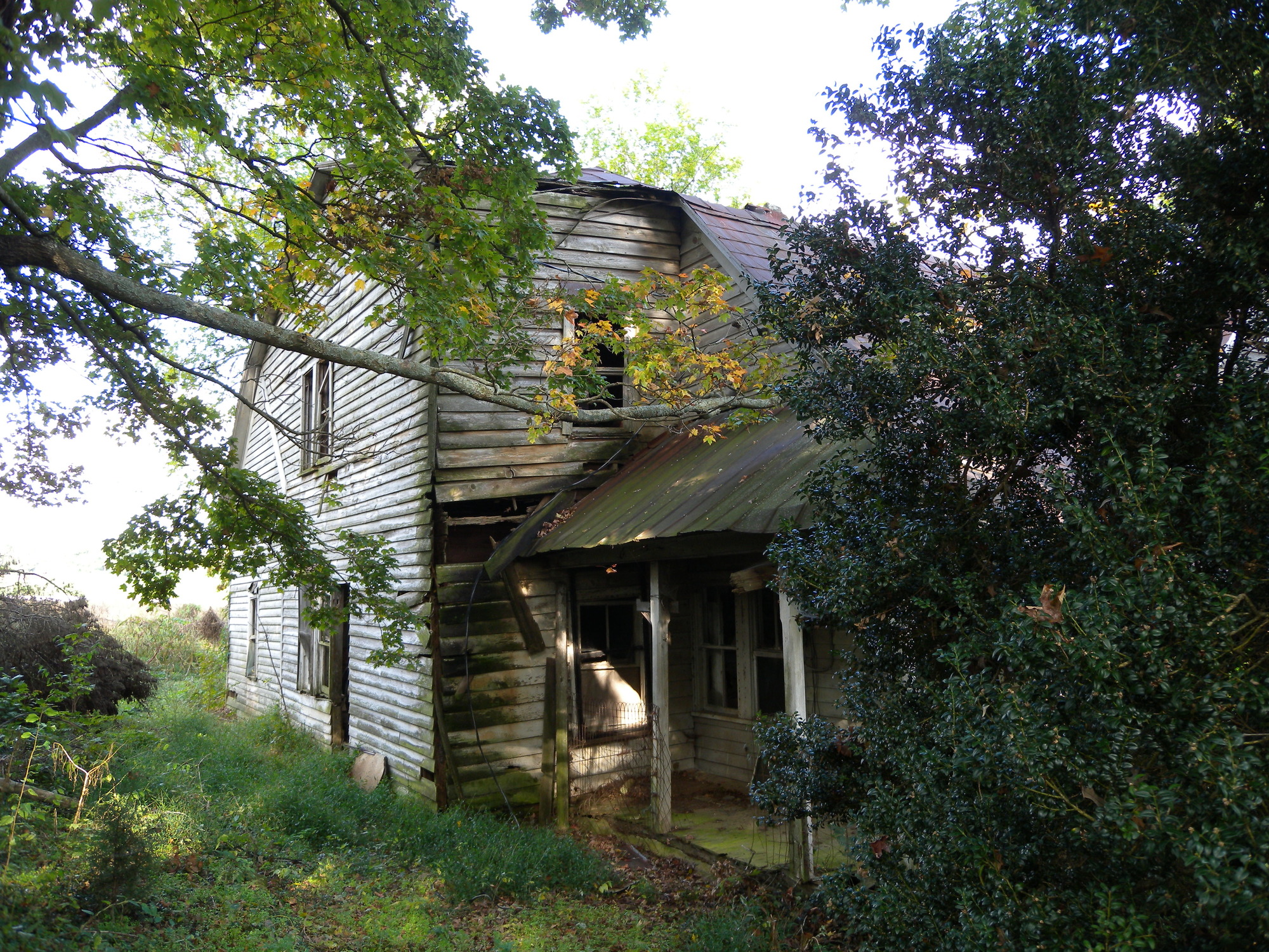 A house in the middle of a wooded area.