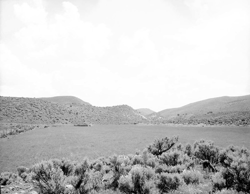 Sagebrush and field at the site of the 1857 Mountain Meadows Massacre, outside Veyo, Utah.