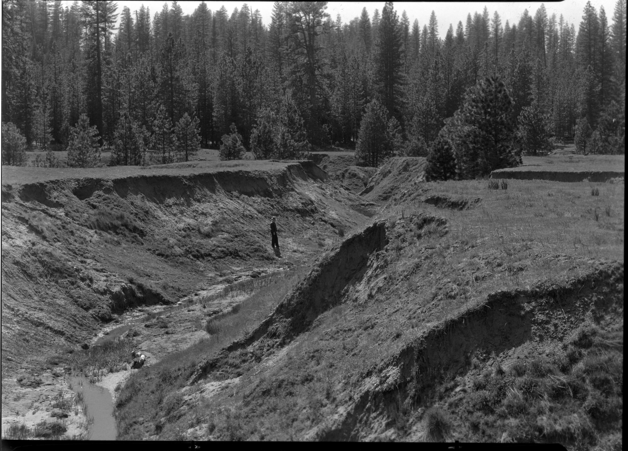 Stone Meadow near Carl Inn on Mather Road. Showing erosion on private lands outside park.