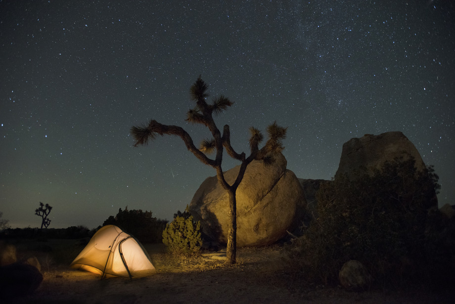 A starry sky frames this night view of Joshua trees and a campground tent at Joshua Tree National Park, California.
