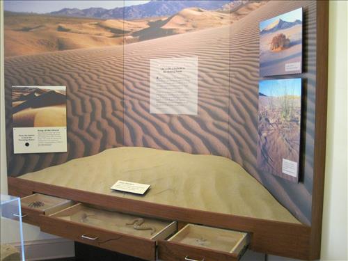 Mojave National Preserve Kelso Depot Visitor Center Exhibits 1 of 5