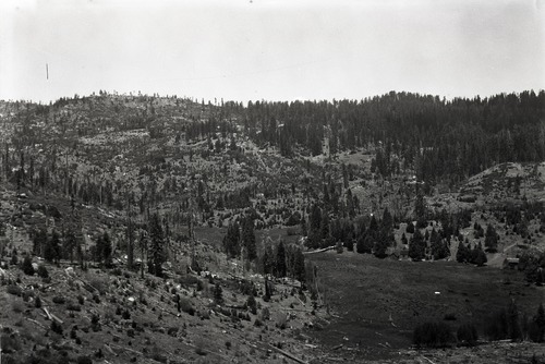 Copy Neg: Leroy Radanovich, November 2001. Yosemite Lumber Co. Looking north across 11 mile meadow - Wawona Road screen (seen?) in distance. Museum Collections Cat. No. YOSE 81675.
