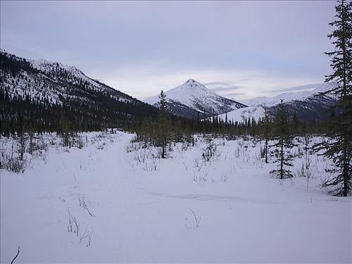 2 Gates of the Arctic National Park and Preserve Hares Survey 2004