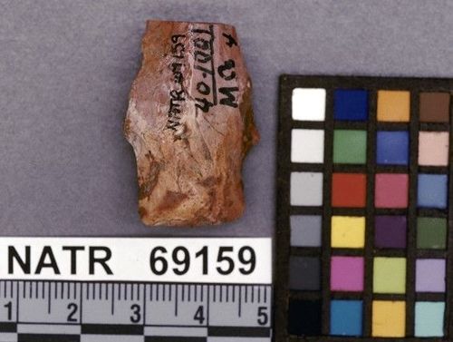 NATR   69159 -- Untyped projectile point