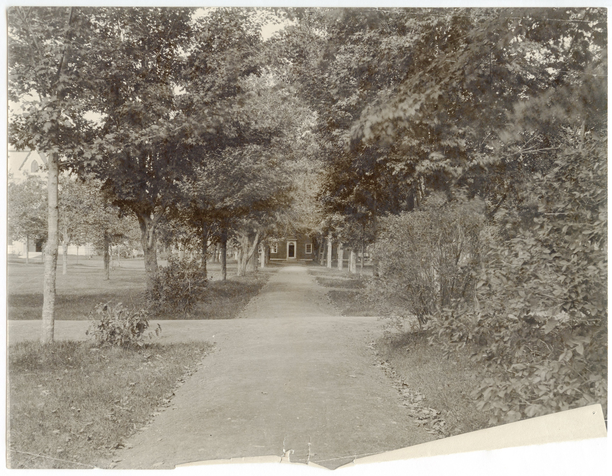 Intersection of two paths flanked by trees. Brick building partially visible at end of path.