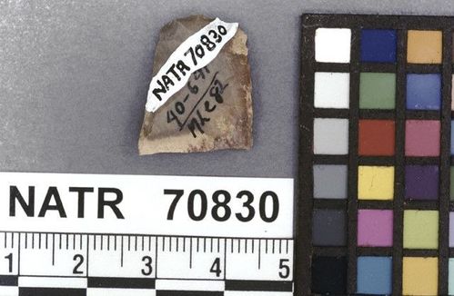 NATR   70830 -- Untyped projectile point