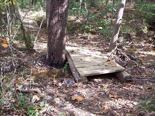 FOWA-Existing Conditions at Fort Washington Park, October 15, 2008