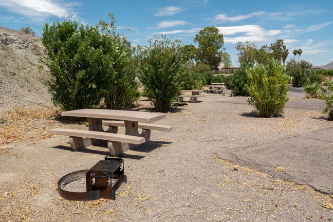 Grill, picnic tables, green oleander trees