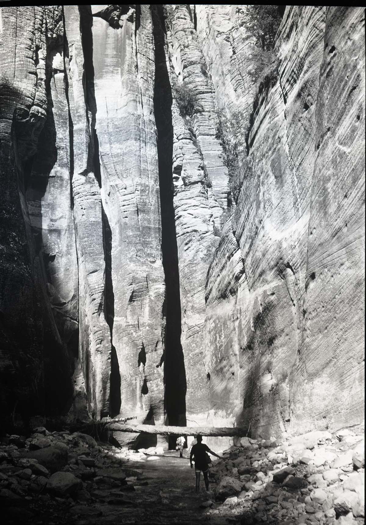 Zion Narrows at the upper end.