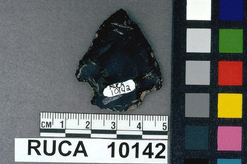 RUCA   10142 -- Point, Projectile