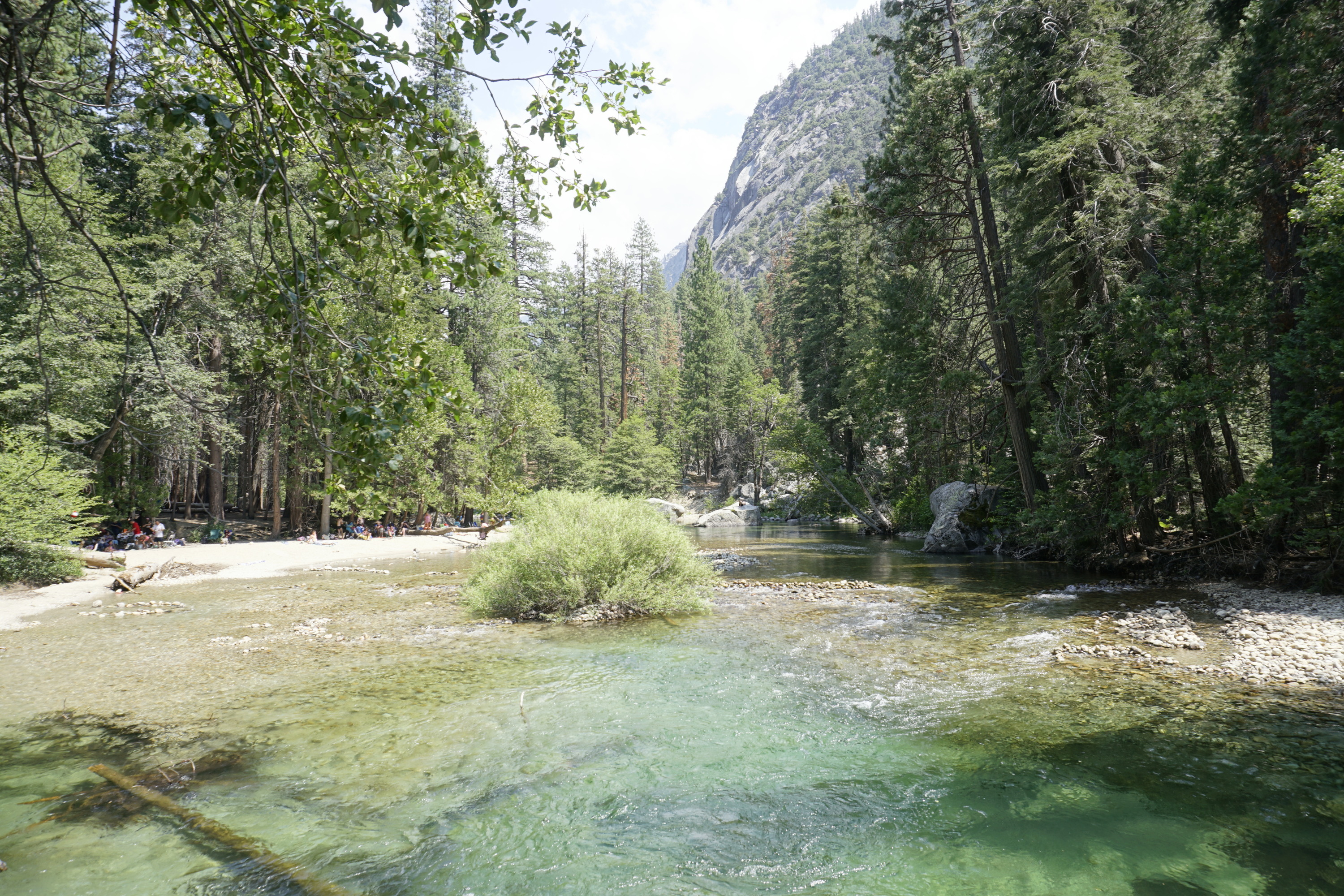 A transparent blue river flows lazily, flanked by tall pines. A green bush grows in the middle of the river. In the background their is a tall mountain. 