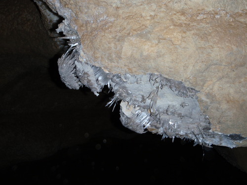 Gypsum Spiders
