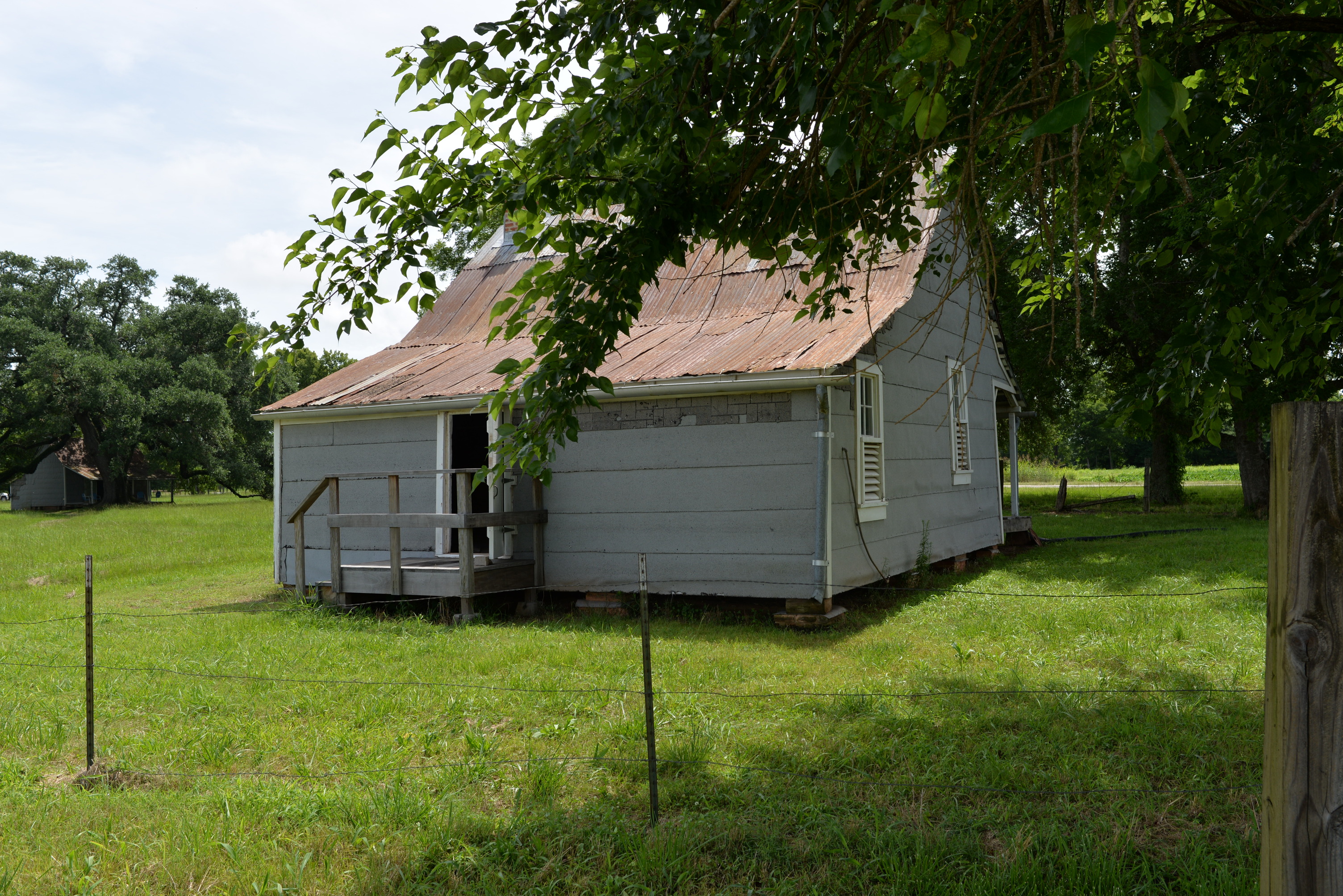 Rear view of a cabin beyond the branches of a tree is surrounded by grass.