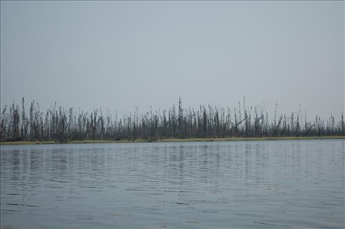 1 Water Quality Testing in Yukon-Charley Rivers National Preserve, August 2005
