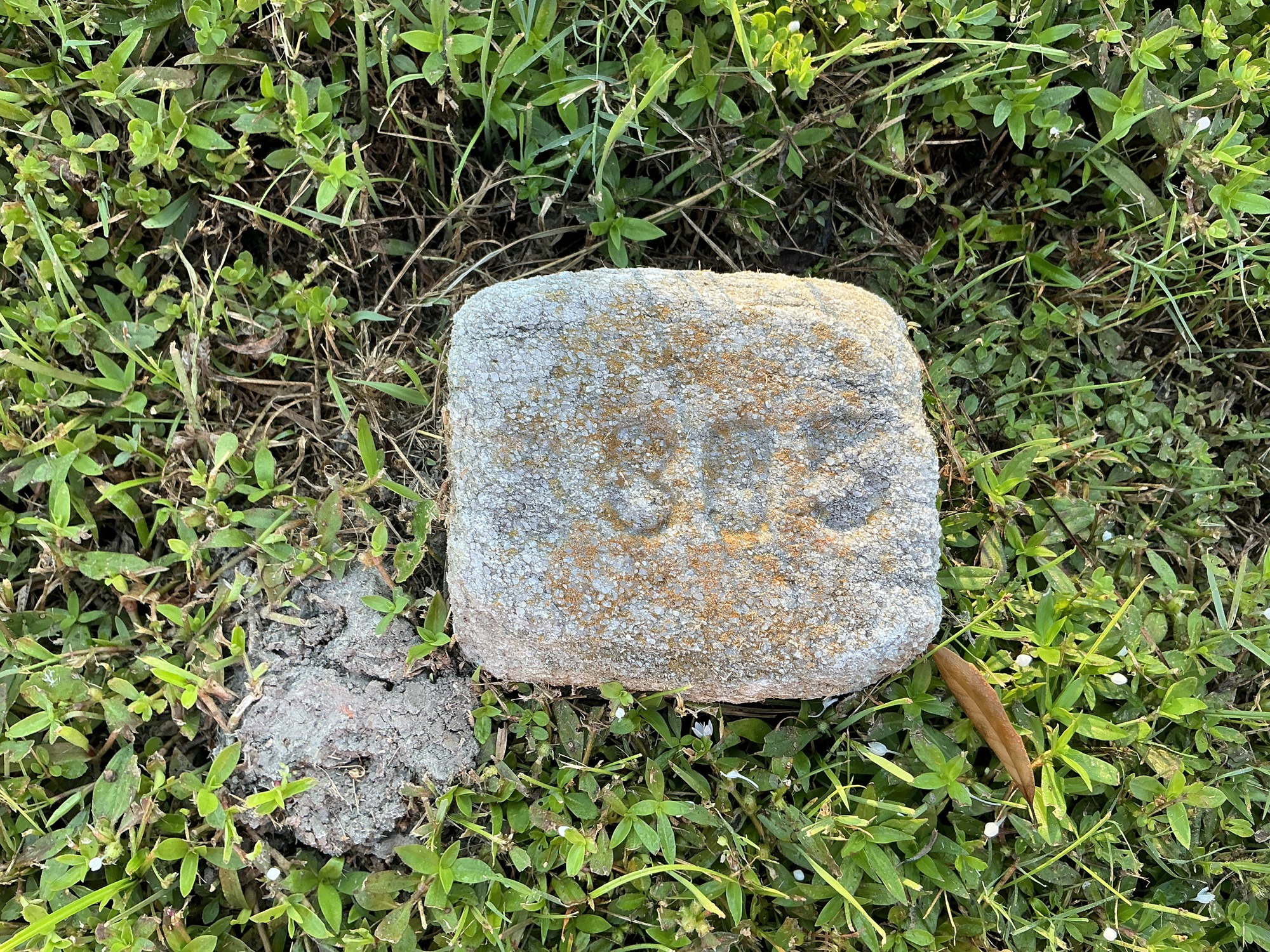 Top of flat marble marker