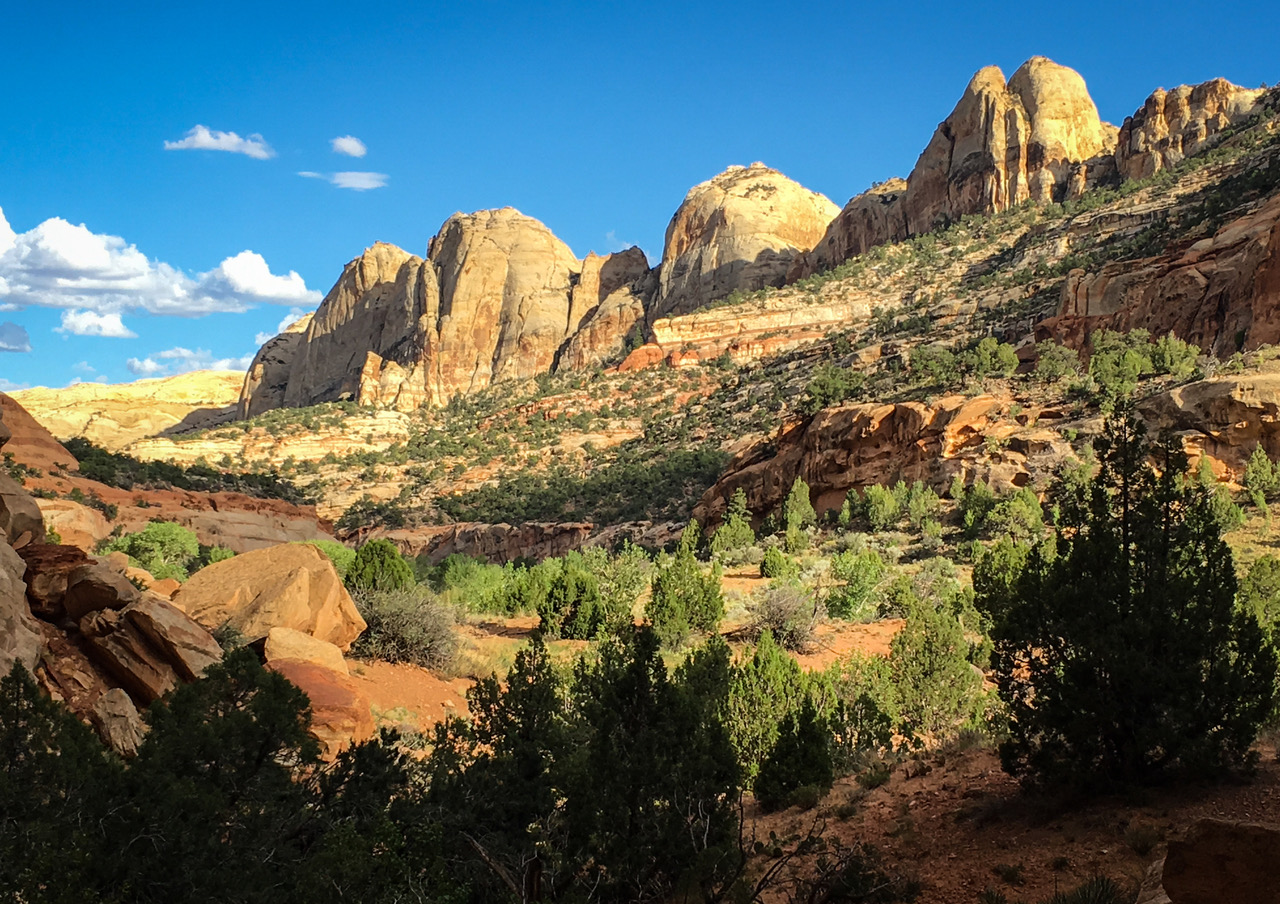 Morning light on the Navajo and Wingate sandstone above a creek