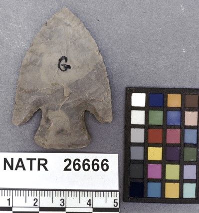 NATR   26666 -- Kirk Corner Notched Cluster projectile point