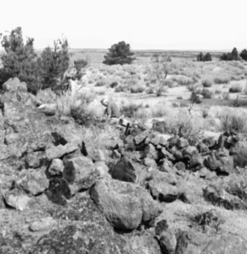 Rock wall (Juniper Butte) at Lava Beds, Tulelake, in August 1959